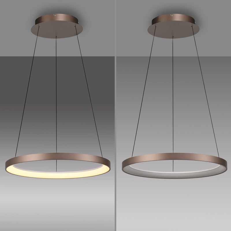Lustra Paul Neuhaus HOOP LED Cafeniu
