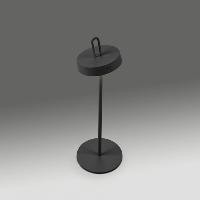 Lampa Exterior Paul Neuhaus AMAG LED Negru