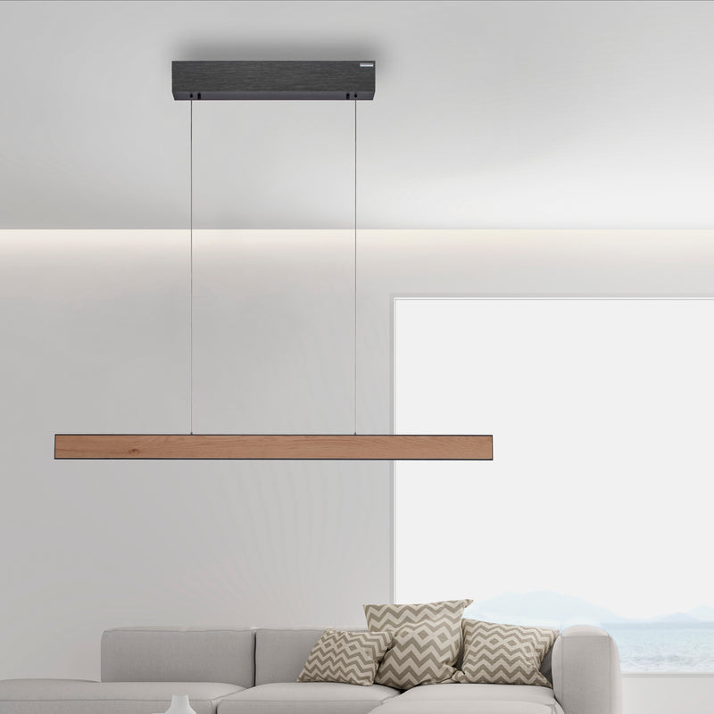 Lustra Paul Neuhaus PURE E-MOTION 2xLED Negru