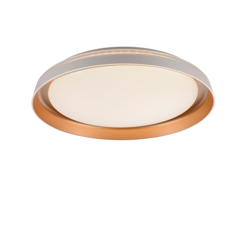Plafoniera Paul Neuhaus SATI LED Alama Mat