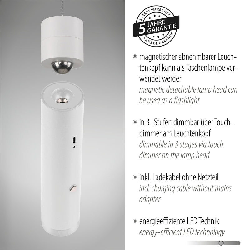 Lustra Paul Neuhaus ATTACH LED Alb