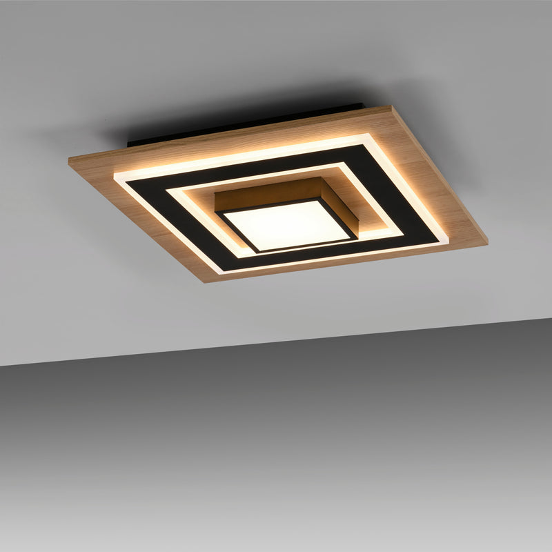 Plafoniera Paul Neuhaus TOLA LED Negru