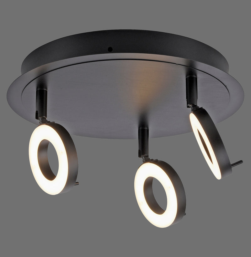 Plafoniera Paul Neuhaus SILEDA 3xLED Antracit