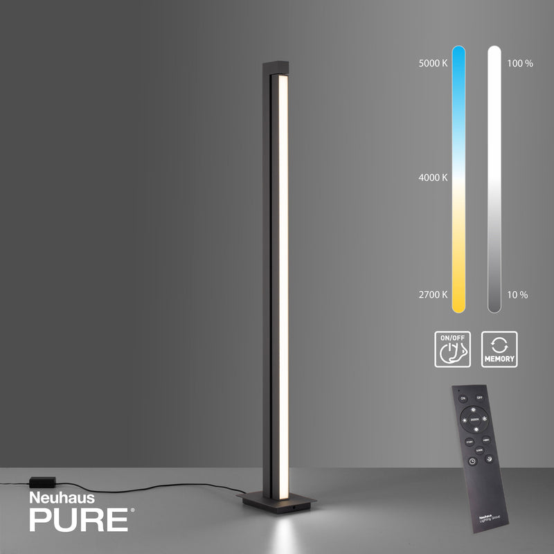 Lampadar Paul Neuhaus PURE-LINES LED Antracit