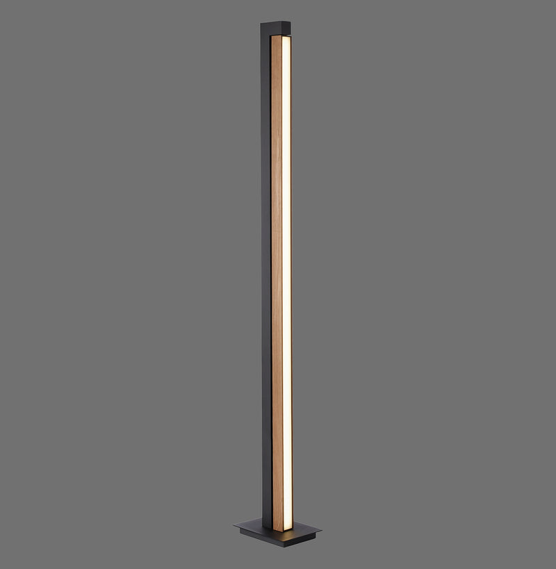 Lampadar Paul Neuhaus PURE-LINES LED Lemn