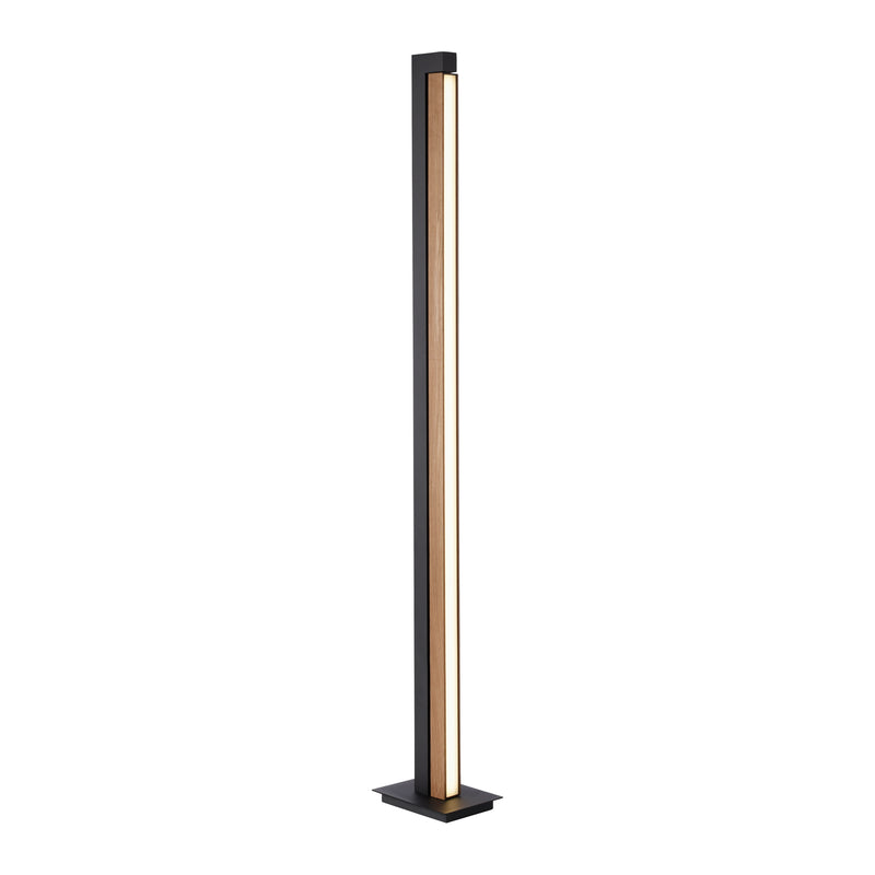Lampadar Paul Neuhaus PURE-LINES LED Lemn