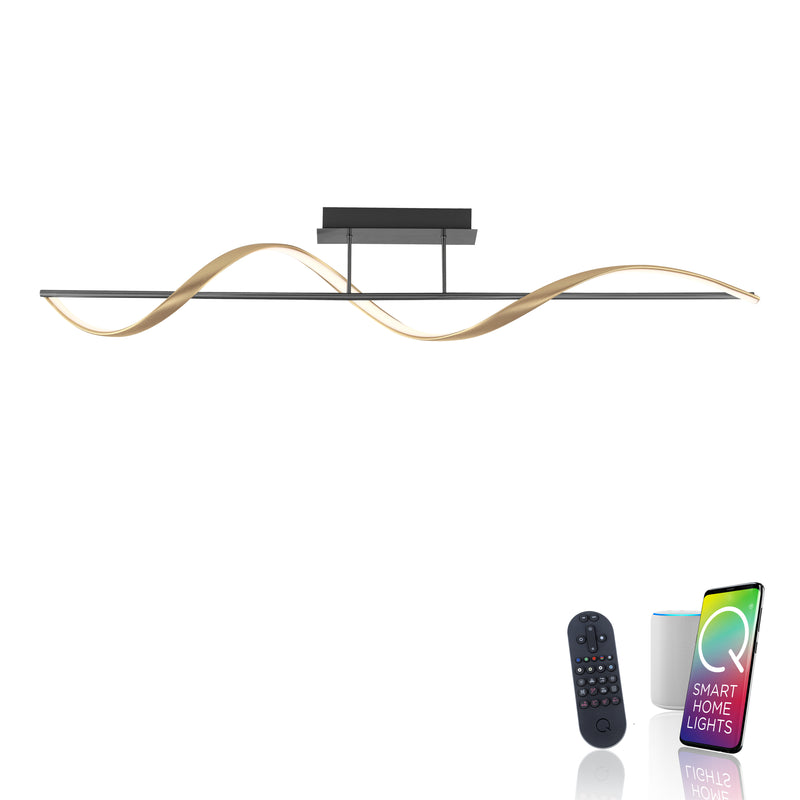 Plafoniera Paul Neuhaus Q-SWING LED Antracit