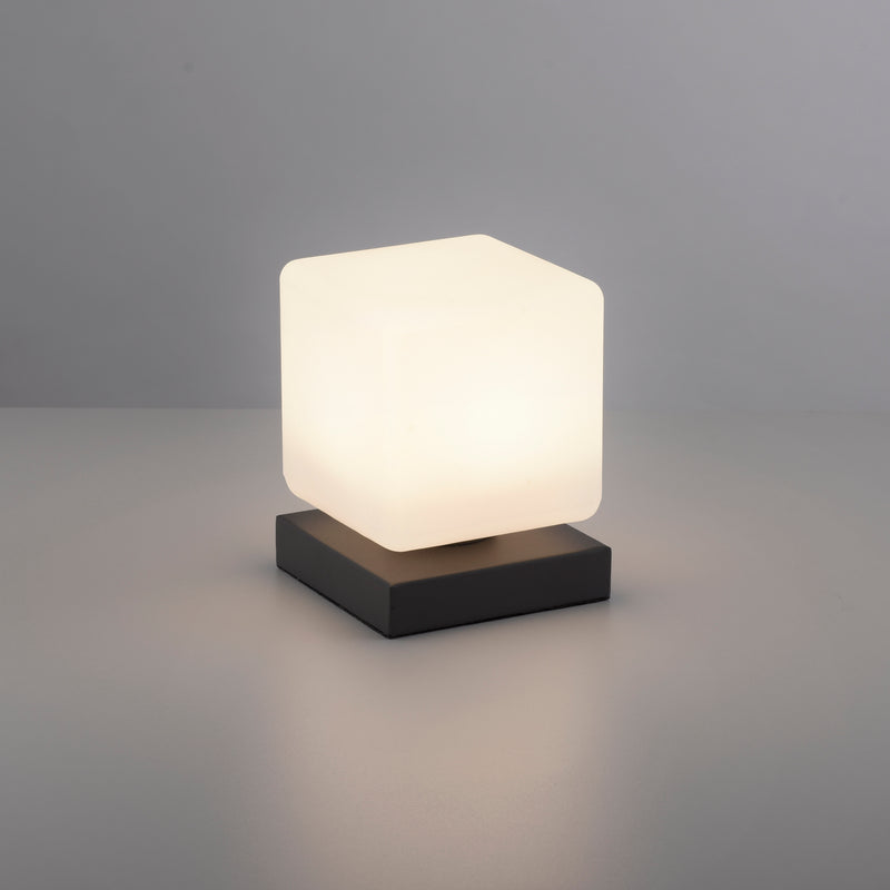 Veioza Paul Neuhaus DADOA LED Antracit