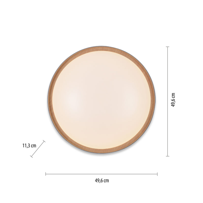 Plafoniera Paul Neuhaus Q-EMILIA LED Gri