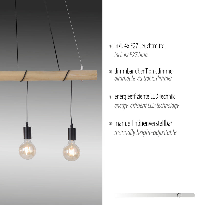 Lustra Paul Neuhaus TERO 4xE27 Negru