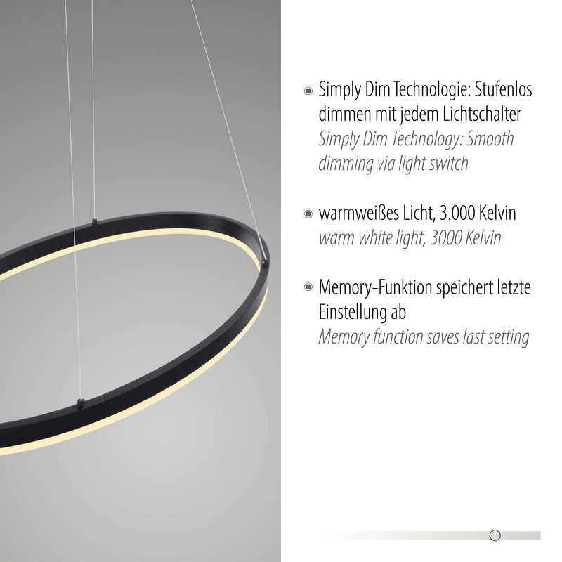 Lustra Paul Neuhaus TITUS LED Antracit