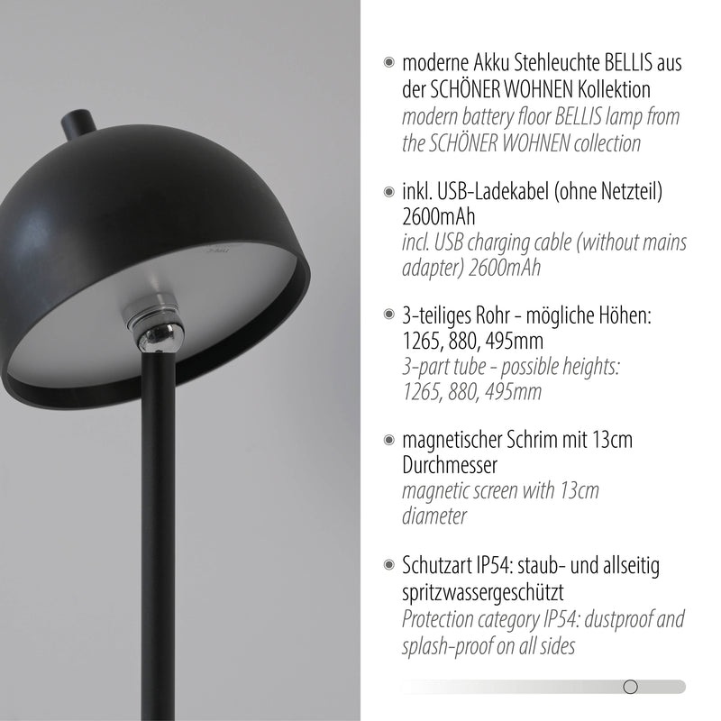 Lampadar Paul Neuhaus BELLIS LED Negru
