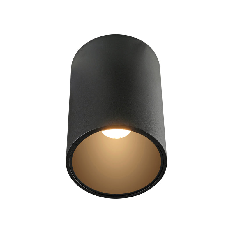 Plafoniera Paul Neuhaus PURE POINT LED Negru