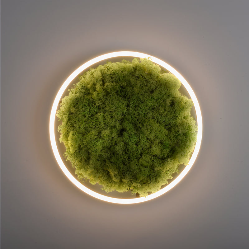 Plafoniera Zuma Line GREEN RITUS LED Muschi Natural