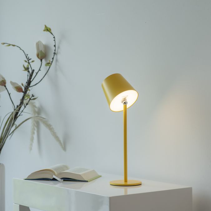 Veioza Paul Neuhaus BOTERIA LED Galben