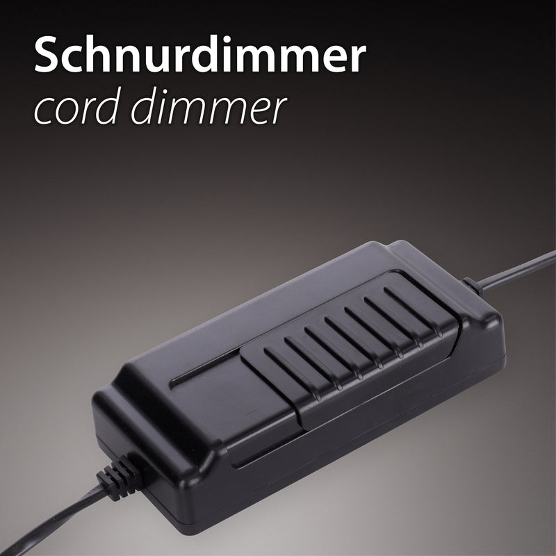 Lampadar Paul Neuhaus TITUS LED Antracit