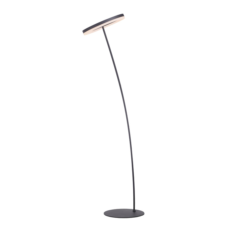 Lampadar Paul Neuhaus TITUS LED Antracit