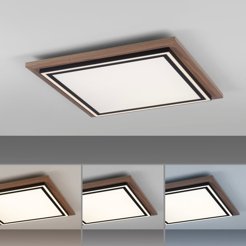 Plafoniera Paul Neuhaus PALMA 2xLED Lemn