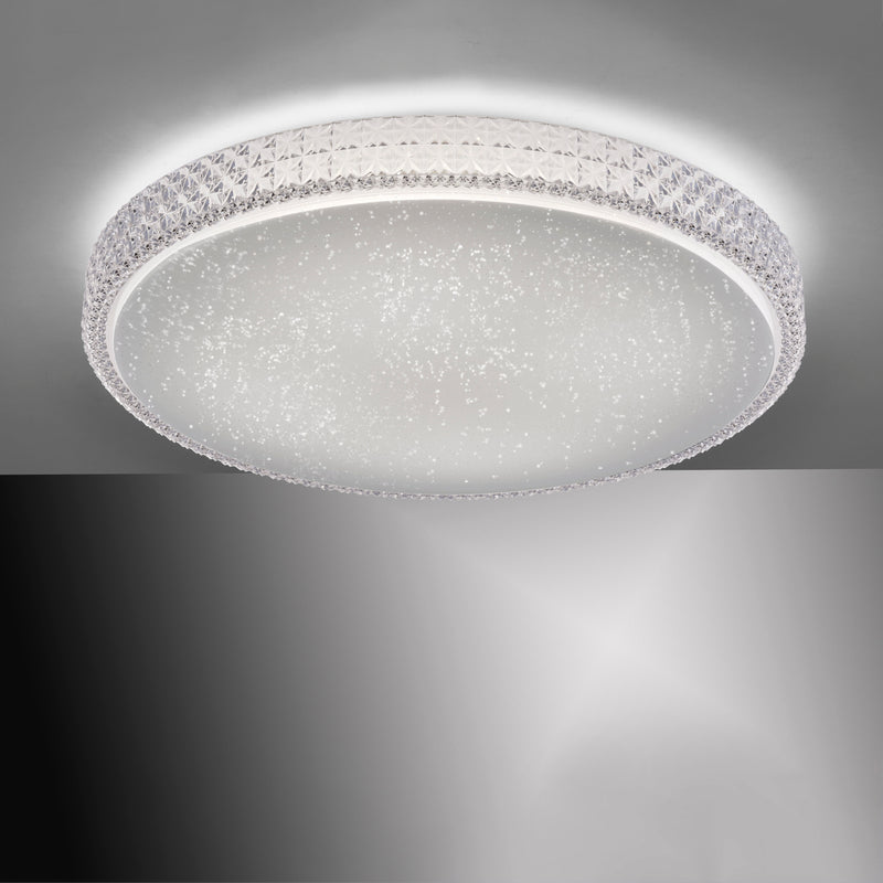 Plafoniera Paul Neuhaus FRIDA LED Transparent