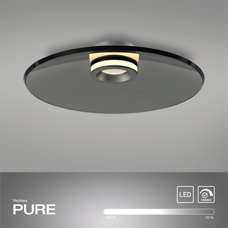 Plafoniera Paul Neuhaus PURE MOON 2xLED Gri