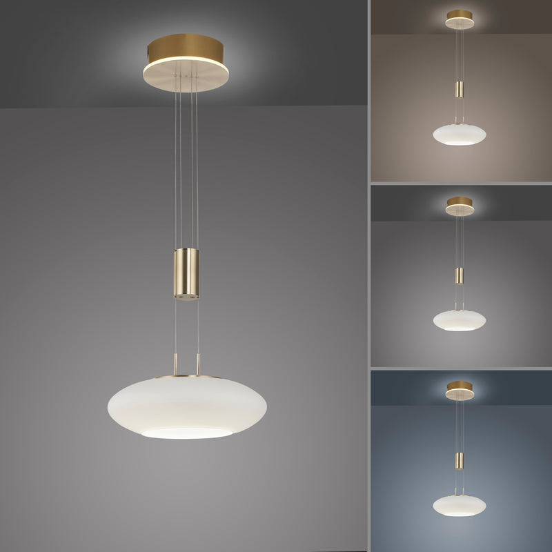 Lustra Paul Neuhaus Q-ETIENNE 2xLED Alama Mat