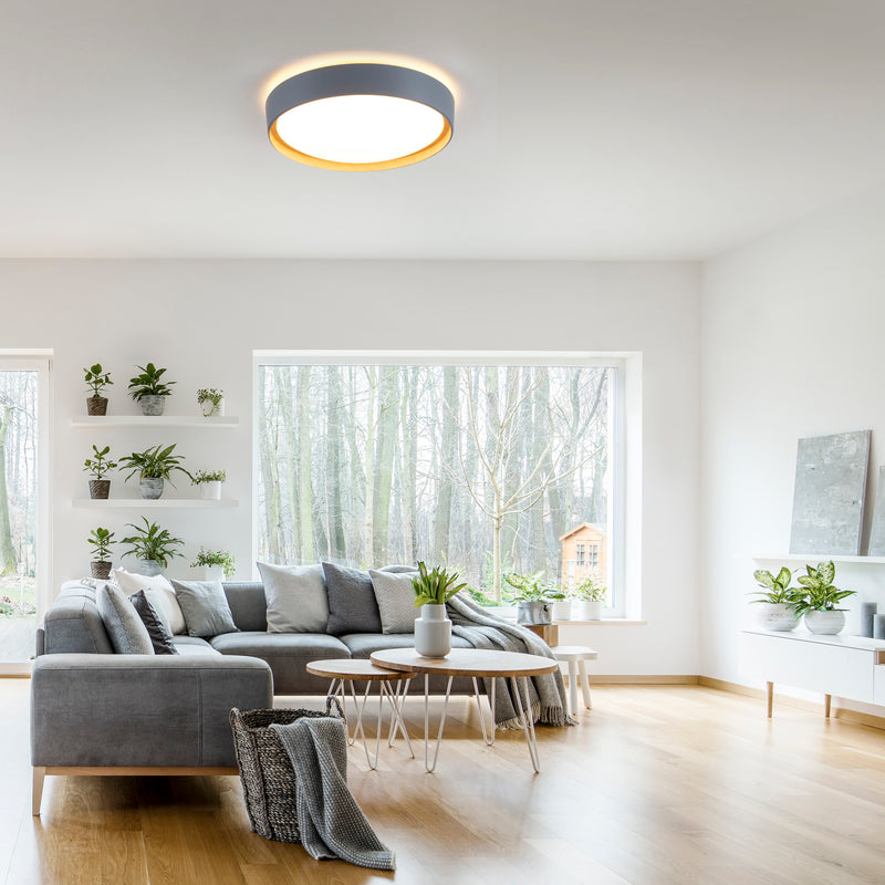 Plafoniera Paul Neuhaus EMILIA LED Gri
