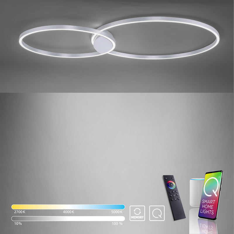 Plafoniera Paul Neuhaus Q-KATE 2xLED Otel