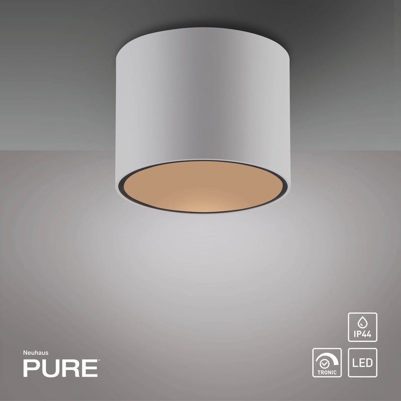 Plafoniera Paul Neuhaus PURE POINT LED Alb