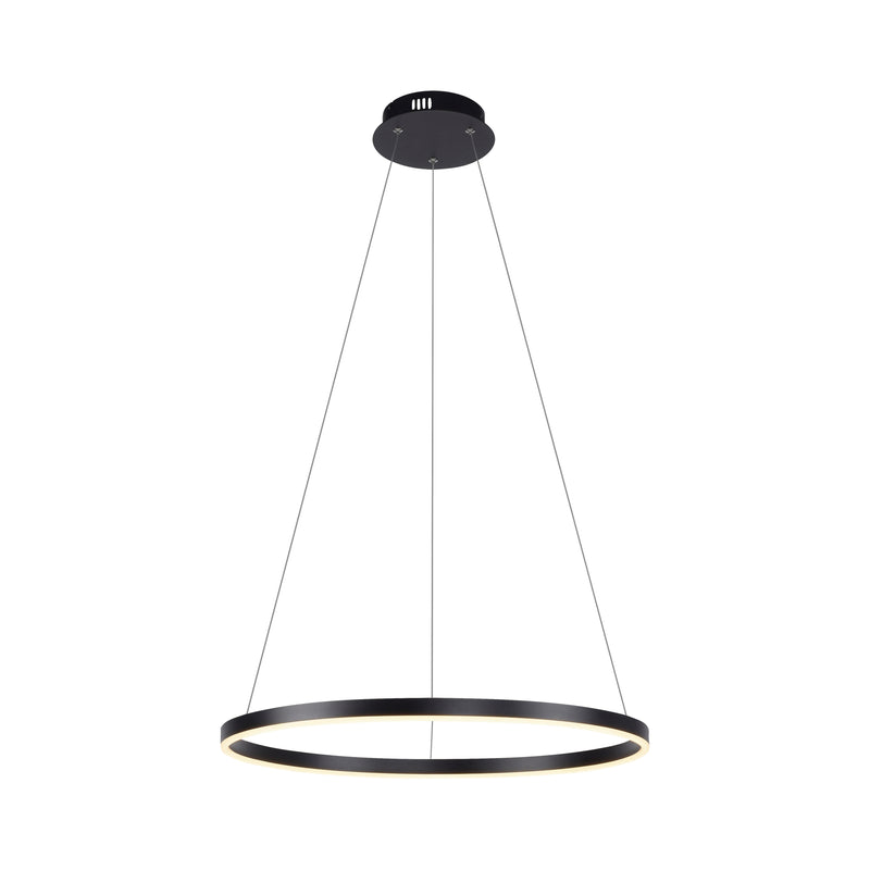 Lustra Paul Neuhaus RITUS LED Antracit