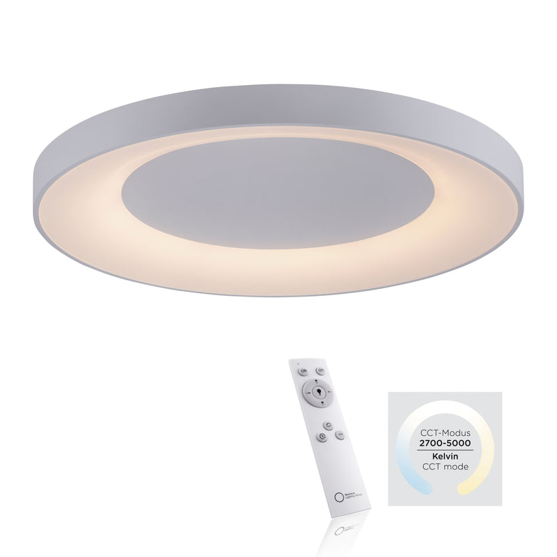 Plafoniera Paul Neuhaus ANIKA LED Alb