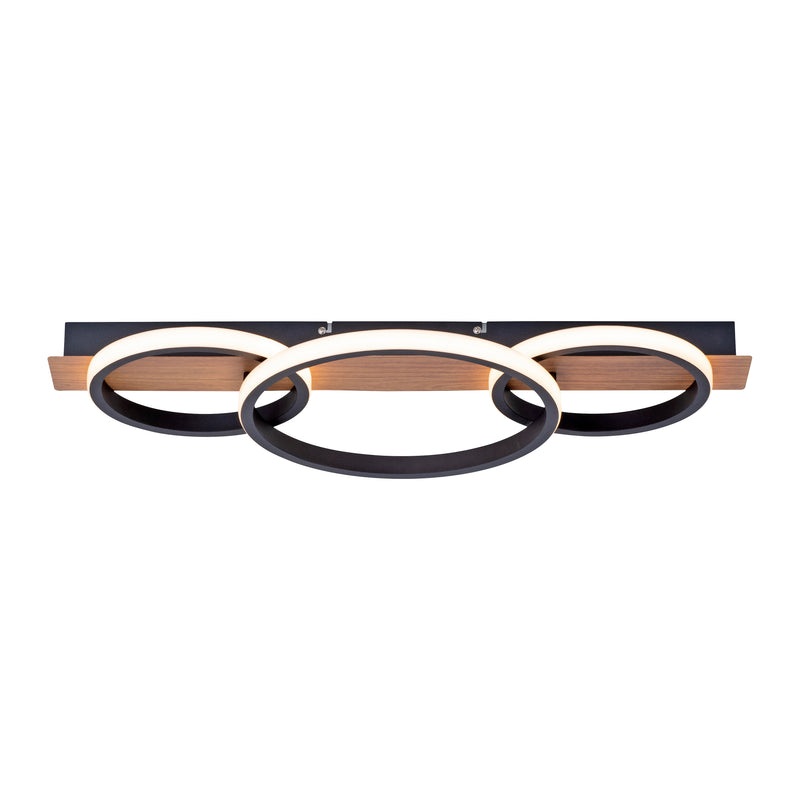 Plafoniera Paul Neuhaus TROOPER LED Lemn