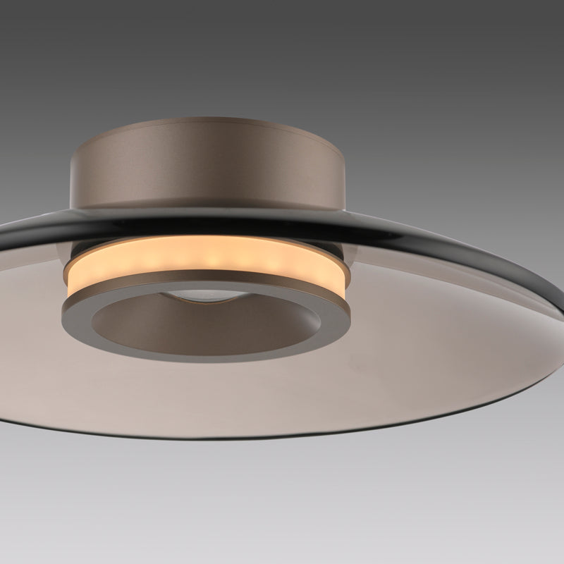 Plafoniera Paul Neuhaus PURE MOON 2xLED Maro