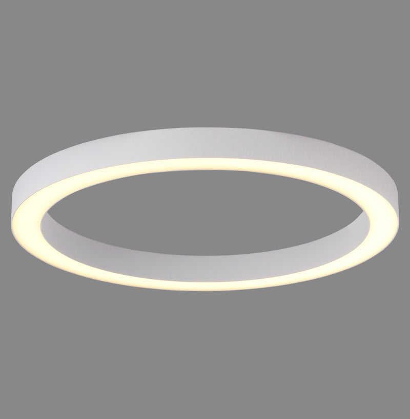 Plafoniera Paul Neuhaus PURE LINES ROUND LED Alb