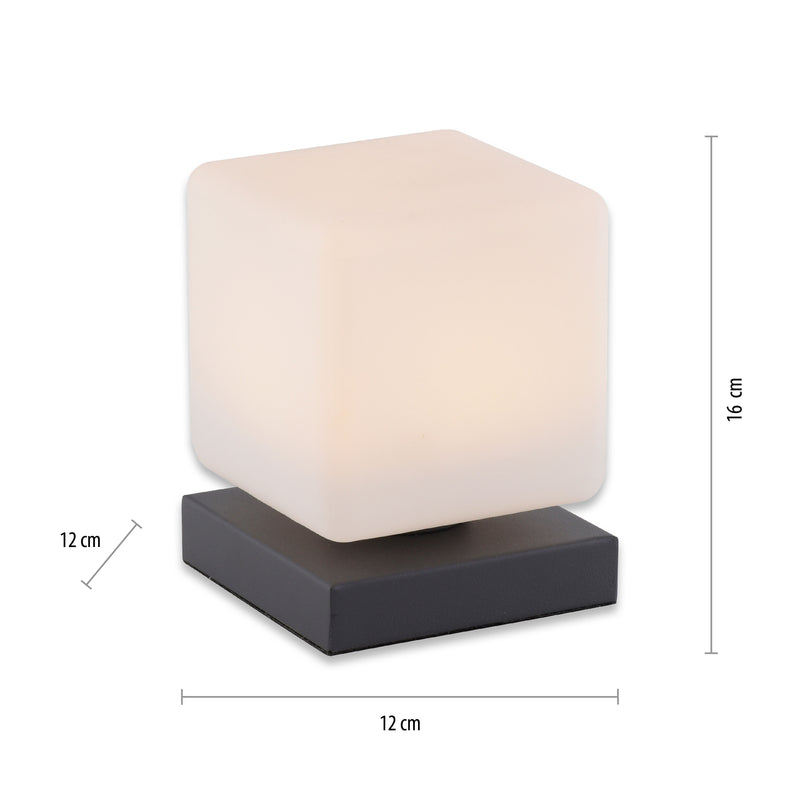 Veioza Paul Neuhaus DADOA LED Antracit