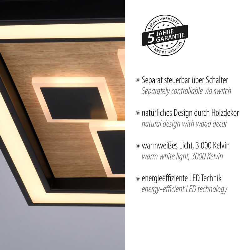 Plafoniera Paul Neuhaus ELIZA LED Negru