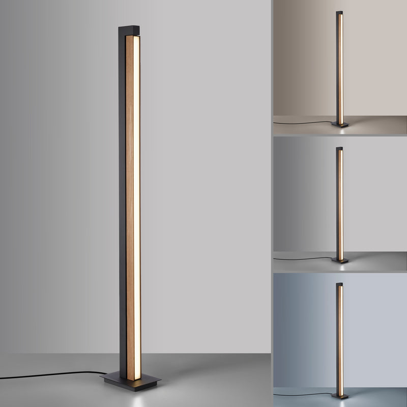 Lampadar Paul Neuhaus PURE-LINES LED Lemn