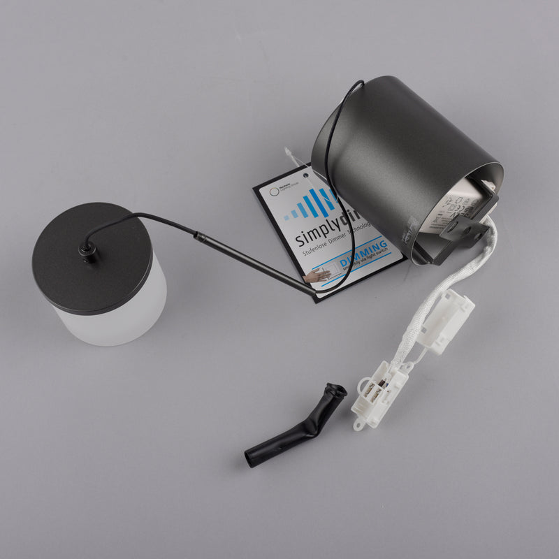 Lustra Paul Neuhaus RIKA LED Negru
