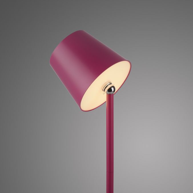 Veioza Paul Neuhaus BOTERIA LED Roz