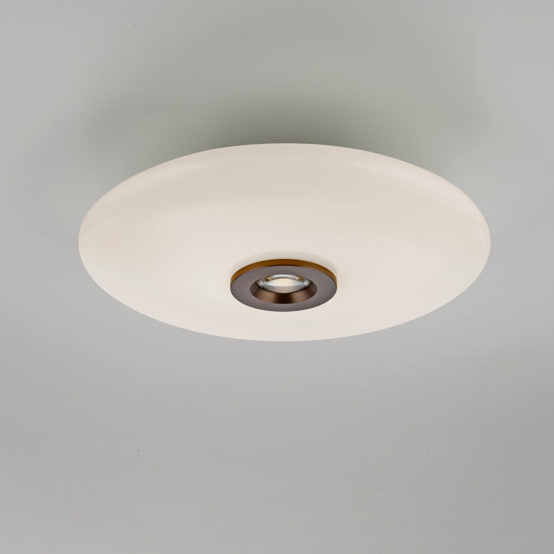 Plafoniera Paul Neuhaus PURE VITRUM 2xLED Maro Metalic