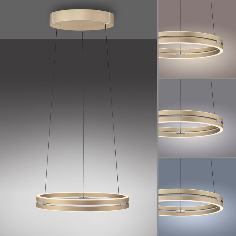Lustra Paul Neuhaus PURE E-LOOP 2xLED Alama Mat