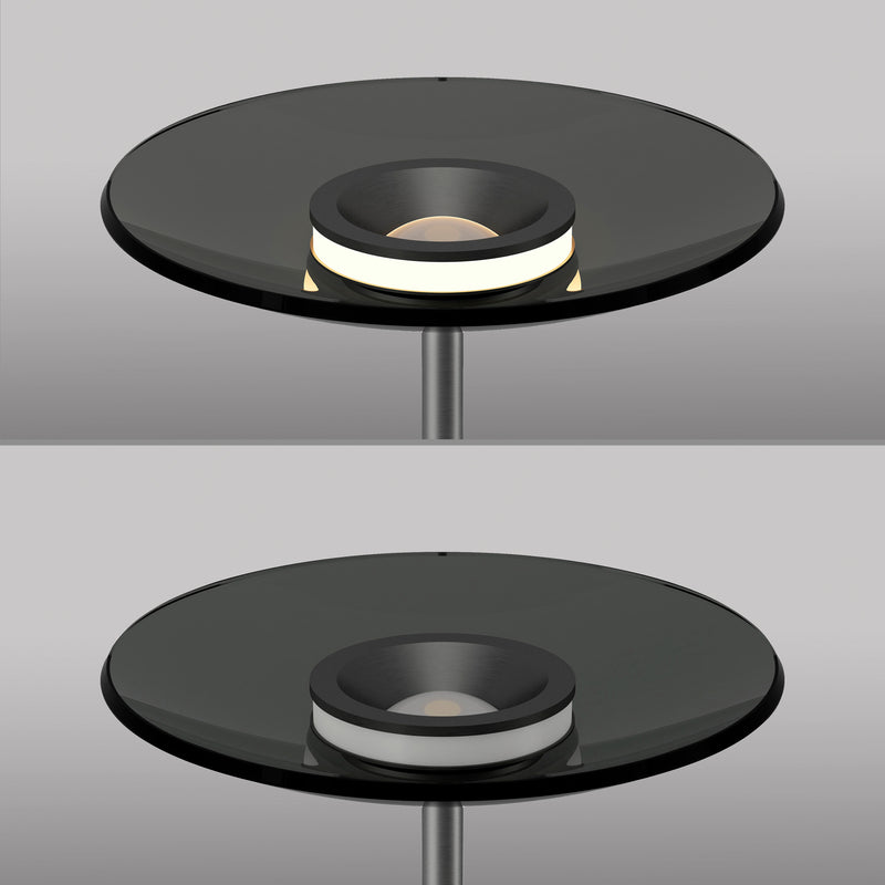 Lampadar Paul Neuhaus PURE MOON 2xLED Gri