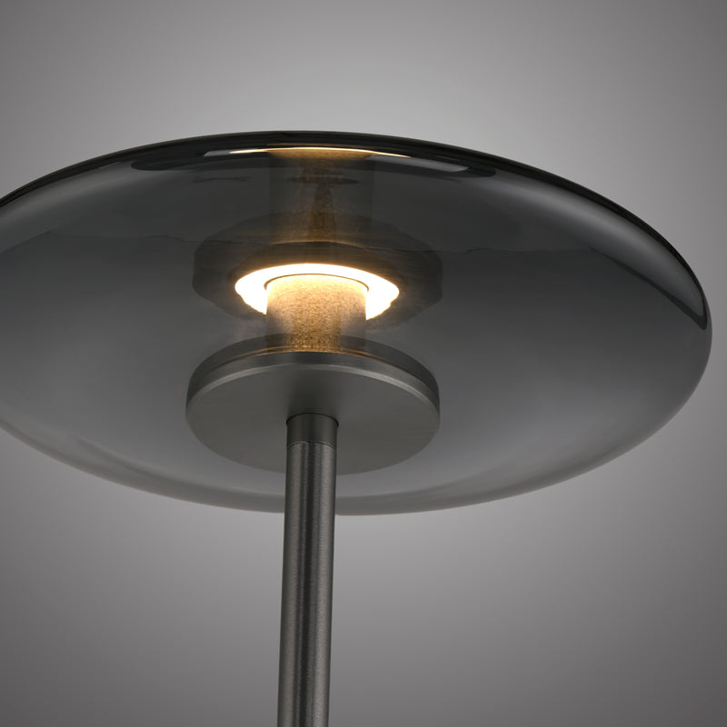 Lampadar Paul Neuhaus PURE VITRUM 2xLED Gri