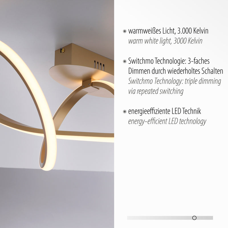 Plafoniera Paul Neuhaus MARIA LED Alama Mat