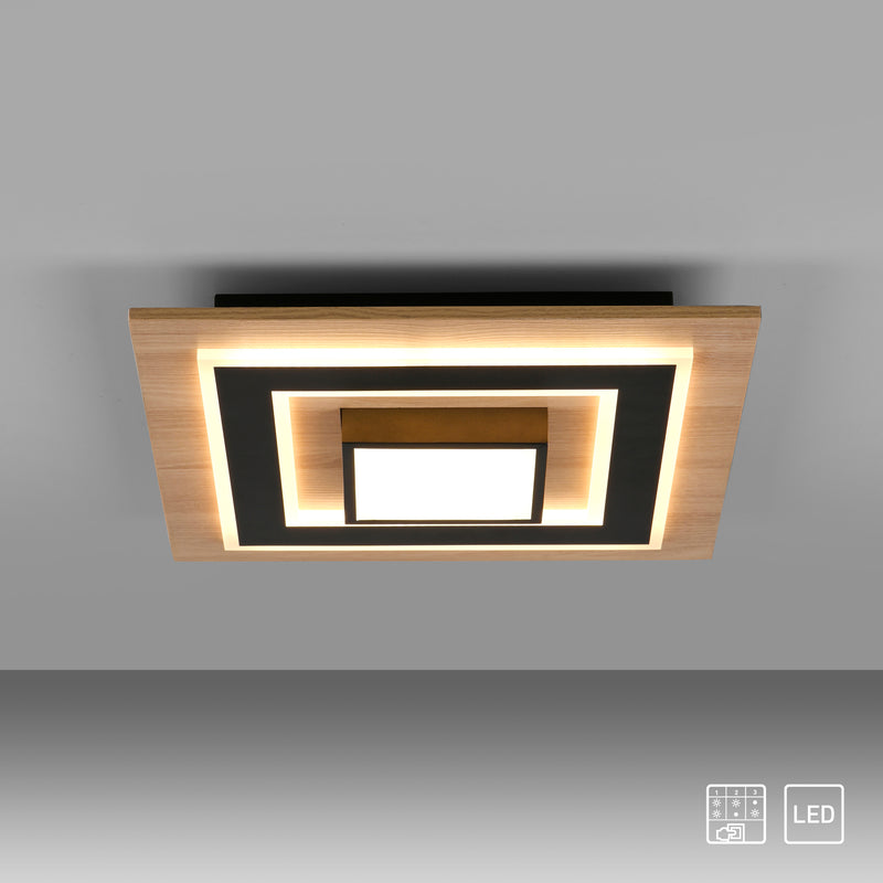 Plafoniera Paul Neuhaus TOLA LED Negru