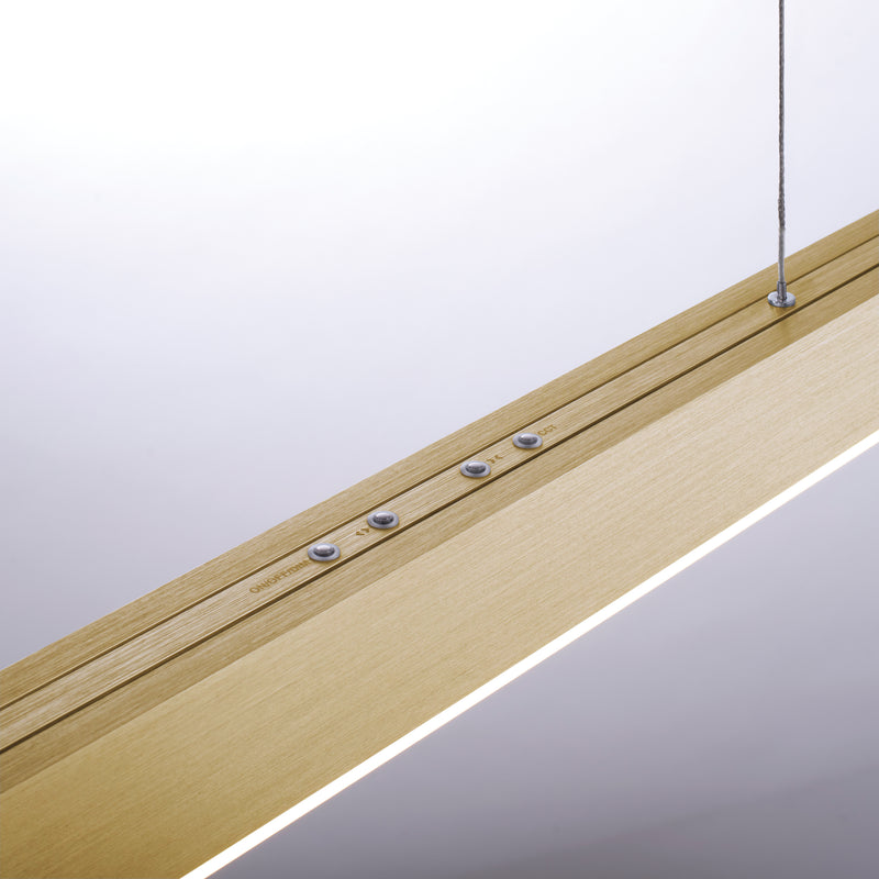 Lustra Paul Neuhaus PURE-MOTO 3xLED Alama Mat