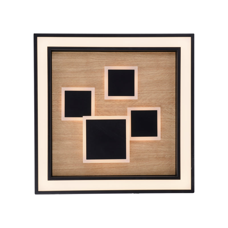 Plafoniera Paul Neuhaus ELIZA LED Negru