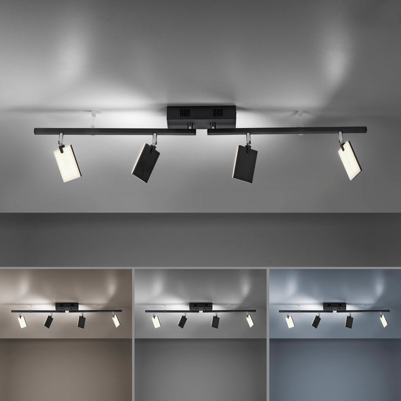 Plafoniera Paul Neuhaus PURE-MIRA 4xLED Negru