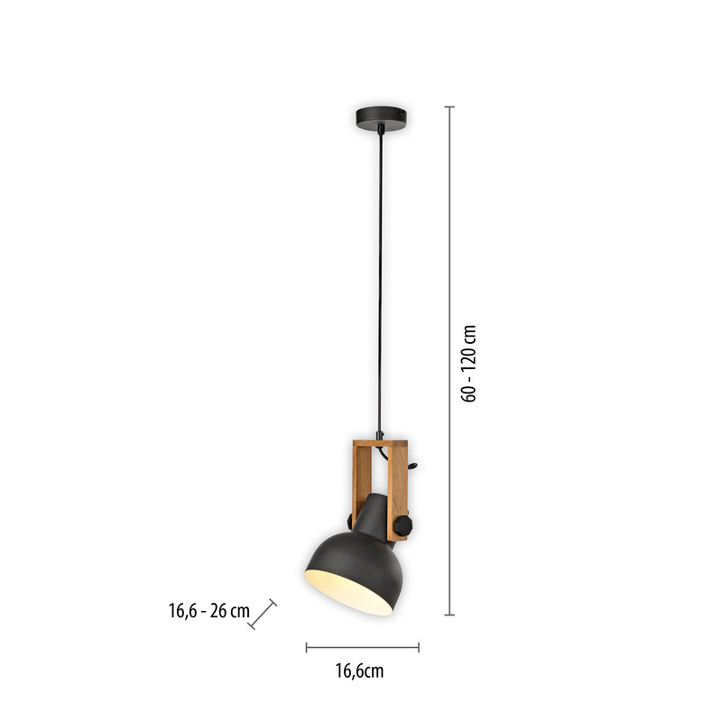Lustra Paul Neuhaus CUP 2.0 1xE27 Negru