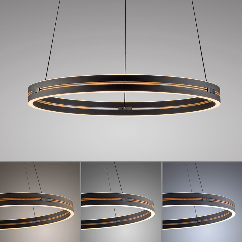 Lustra Paul Neuhaus PURE E-LOOP 2xLED Negru