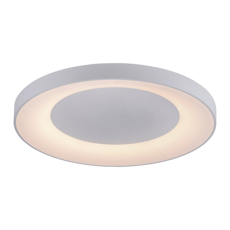 Plafoniera Paul Neuhaus ANIKA LED Alb